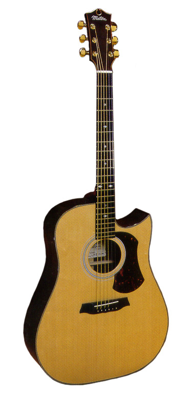 Messiah Series III 6 String Cutaway