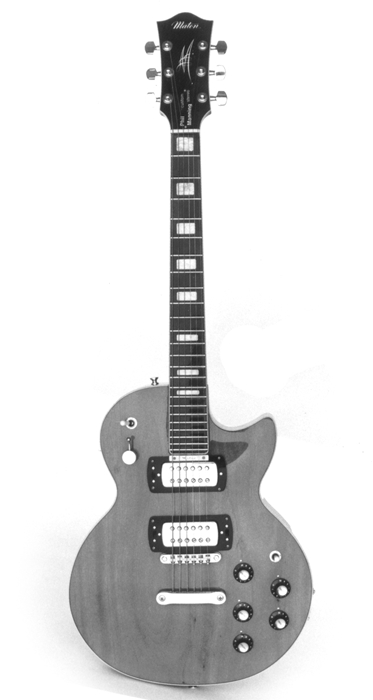 Phil Manning Custom Stereo Electric