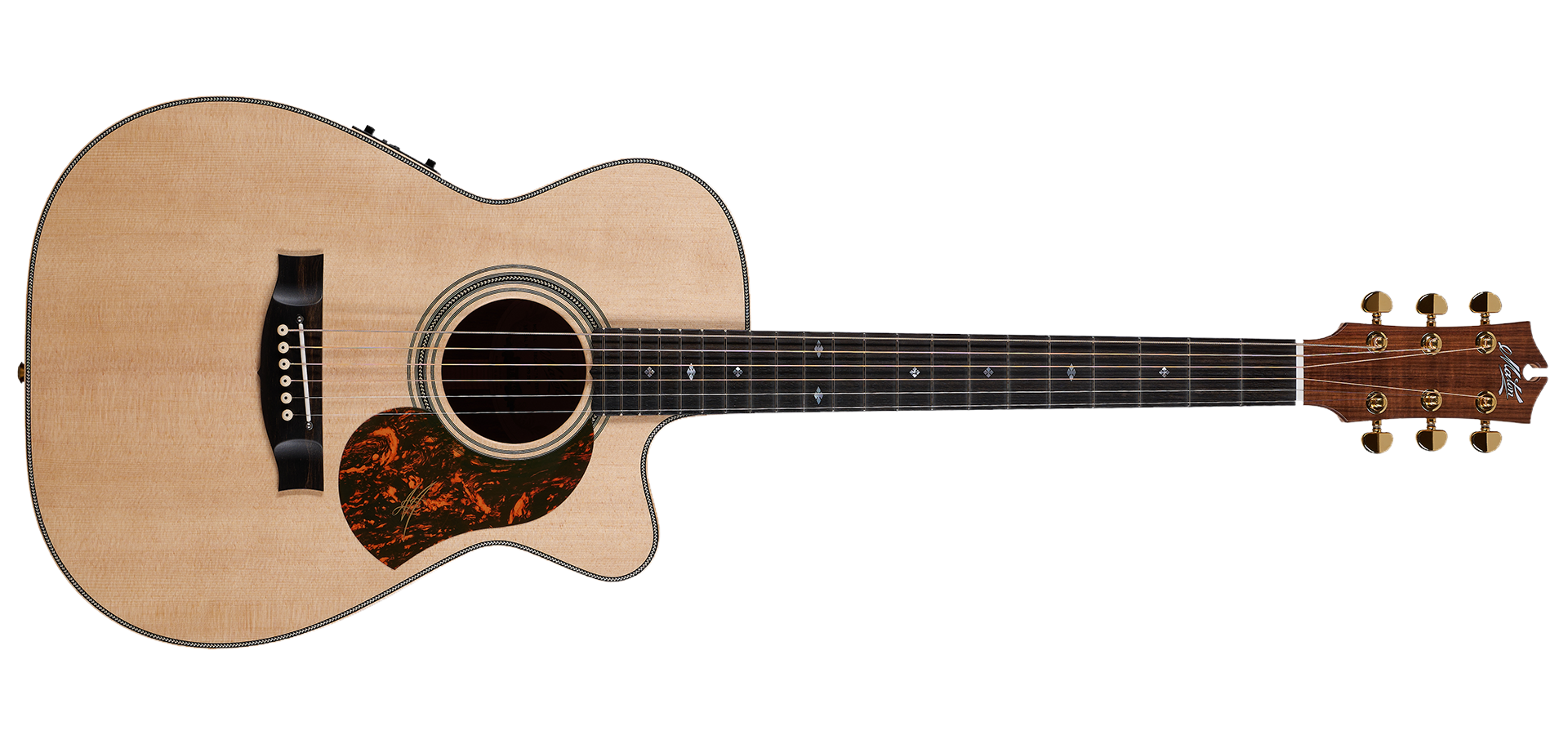 EBG808C Artist